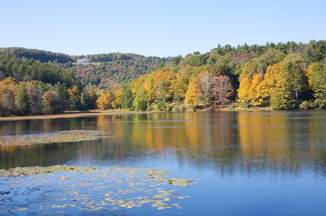 Moses H Cone Memorial Park
